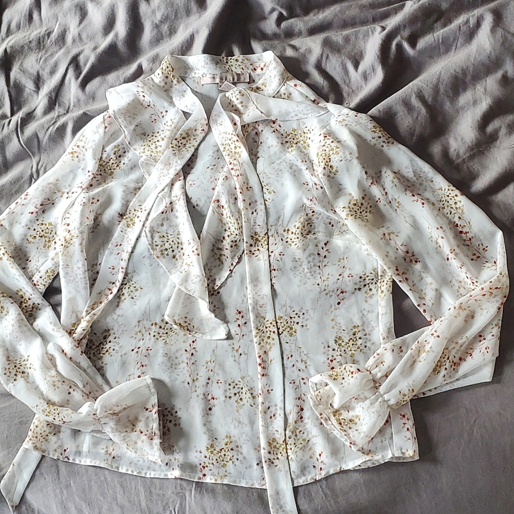 Sheer work blouse